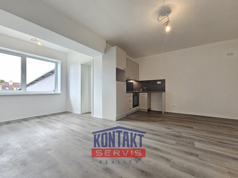 Pronájem nově rekonstruovaného bytu 3+kk, 53 m2 - České Budějovice 4