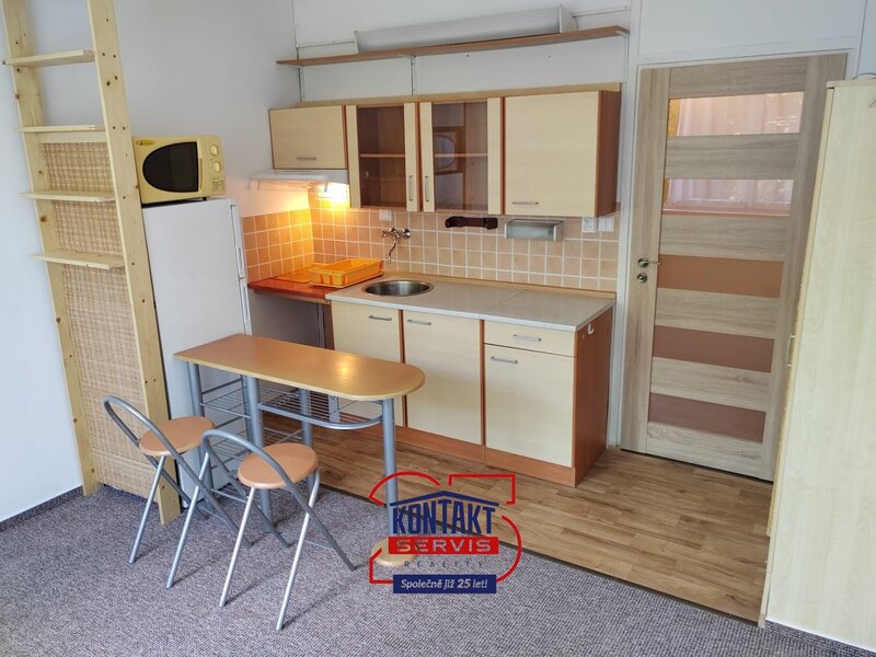 Pronájem bytu 1+kk, 21 m2 - České Budějovice 3