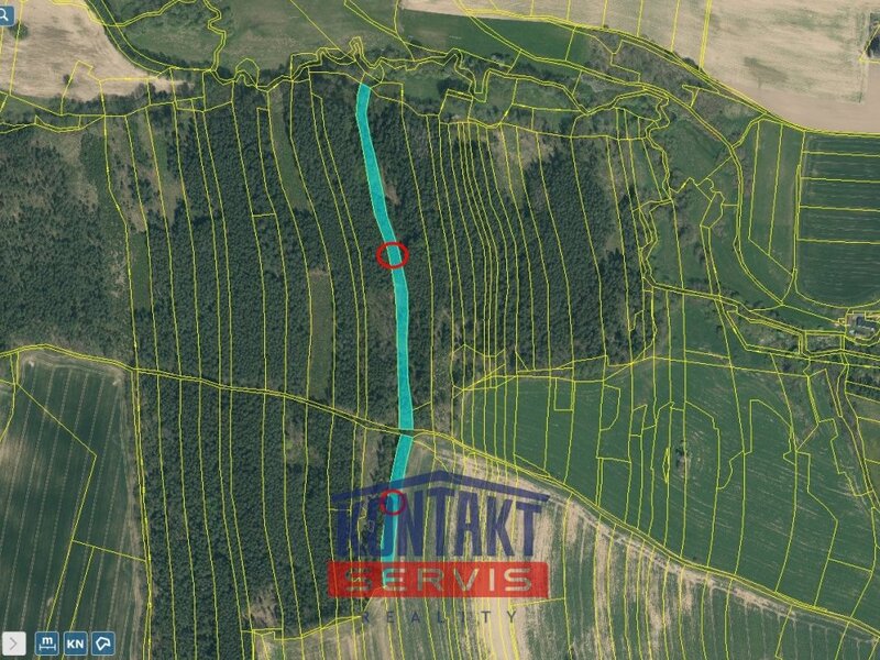 Prodej kvalitních lesních pozemků - Třebějice