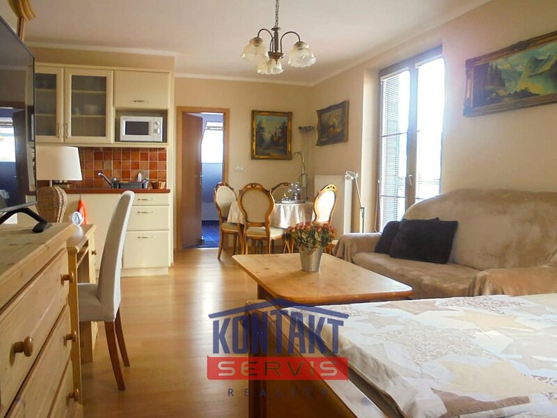 Pronájem bytu 1+kk 50 m2 - ZAŘÍZENÝ